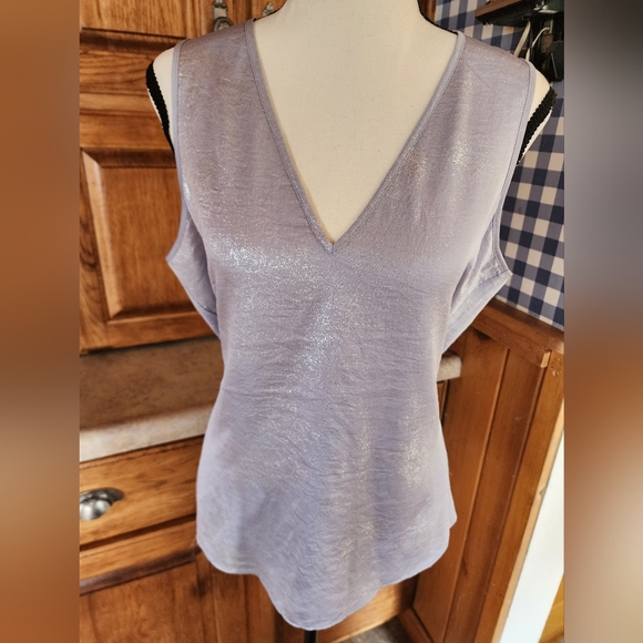 Express Tops - NEW Express Silver Metallic Sleeveless Blouse Size M (NWT)